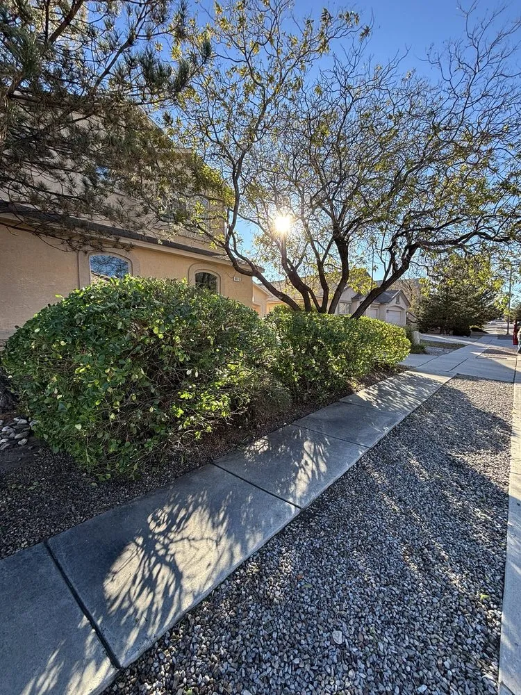 Professional residential landscaping in Albuquerque, NM by Desert Oasis Landscaping