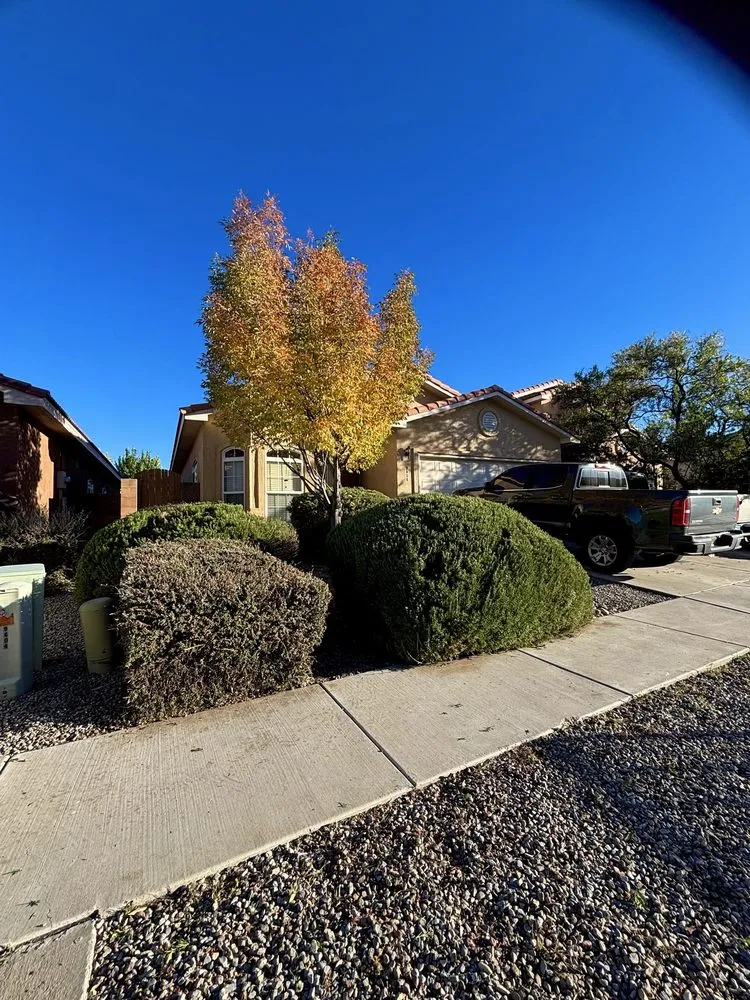 Local residential landscaping for homes in Albuquerque, NM by Desert Oasis Landscaping