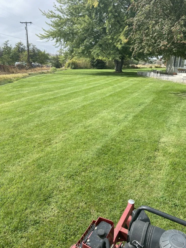 Reliable yard cleanup service for residential properties across Kennewick, WA - Desert Oasis Lawn Care