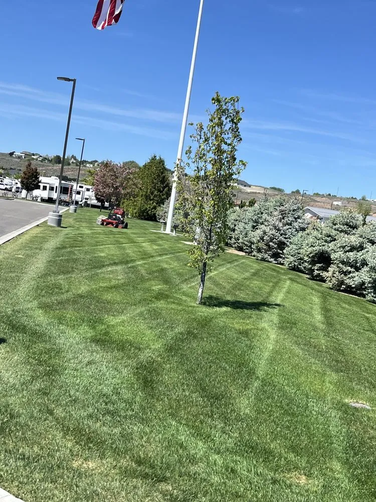 Local yard cleanup service in Kennewick, WA by Desert Oasis Lawn Care