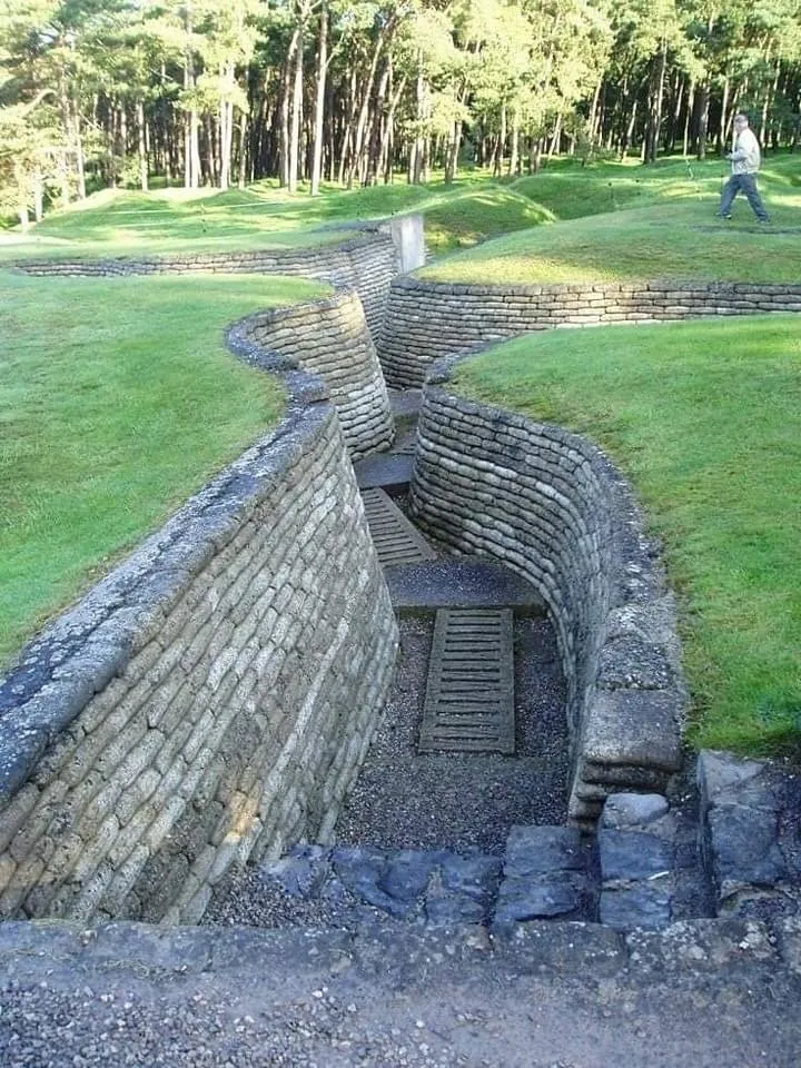 Top-rated lawn care service in Kennewick, WA - Desert Oasis Lawn Care