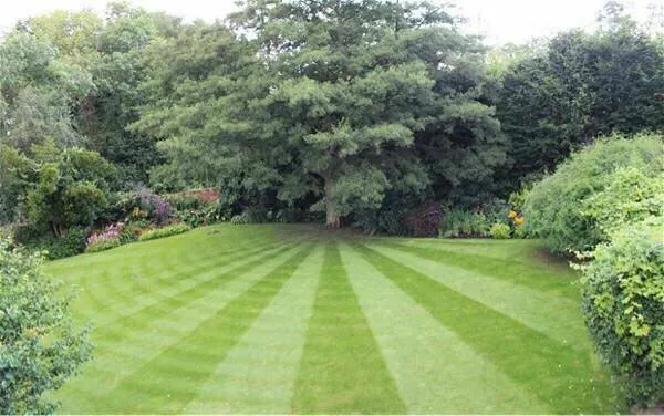 Trusted yard maintenance in Kennewick, WA - Desert Oasis Lawn Care