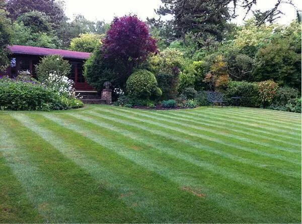 Expert yard maintenance in Kennewick, WA by Desert Oasis Lawn Care