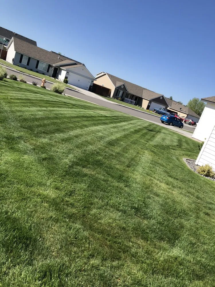 Trusted lawn mowing service in Kennewick, WA - Desert Oasis Lawn Care