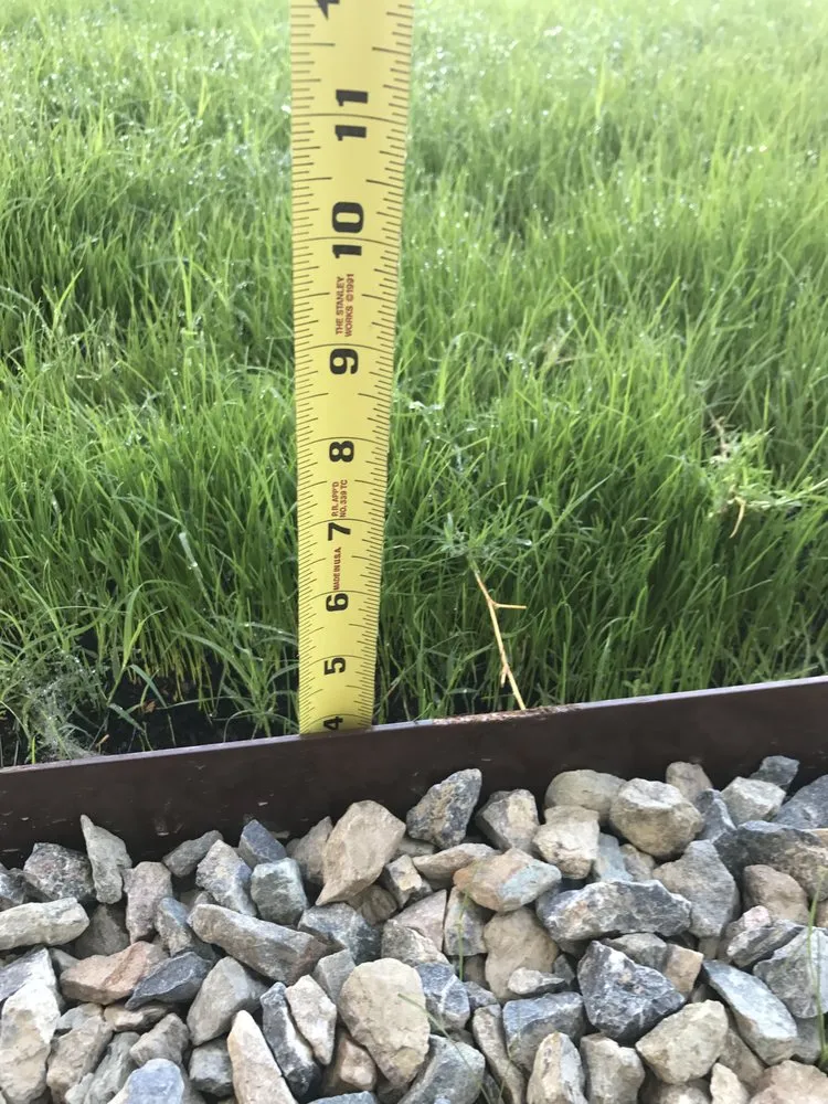 Expert residential landscaping in Phoenix, AZ - Desert Outdoor Landscaping + Remodeling