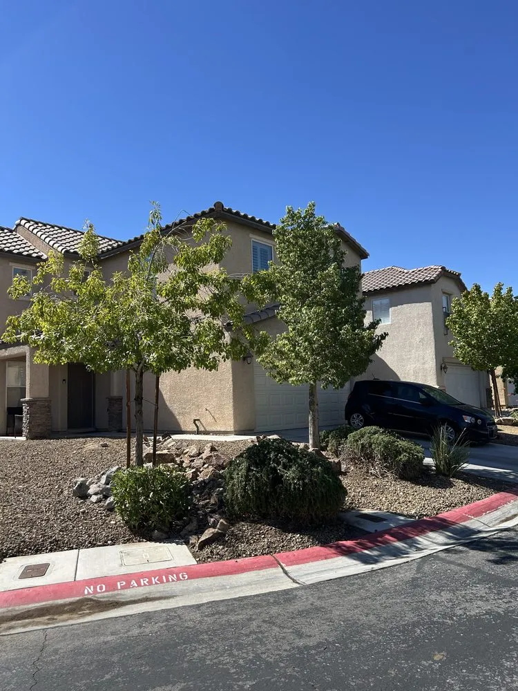 Custom landscape design for homes in North Las Vegas, NV by Desert Palms Landscaping