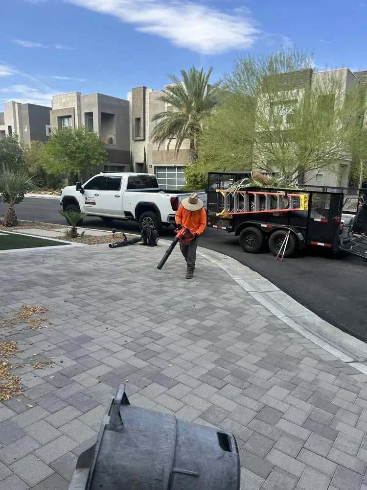 Local residential landscaping in North Las Vegas, NV by Desert Palms Landscaping