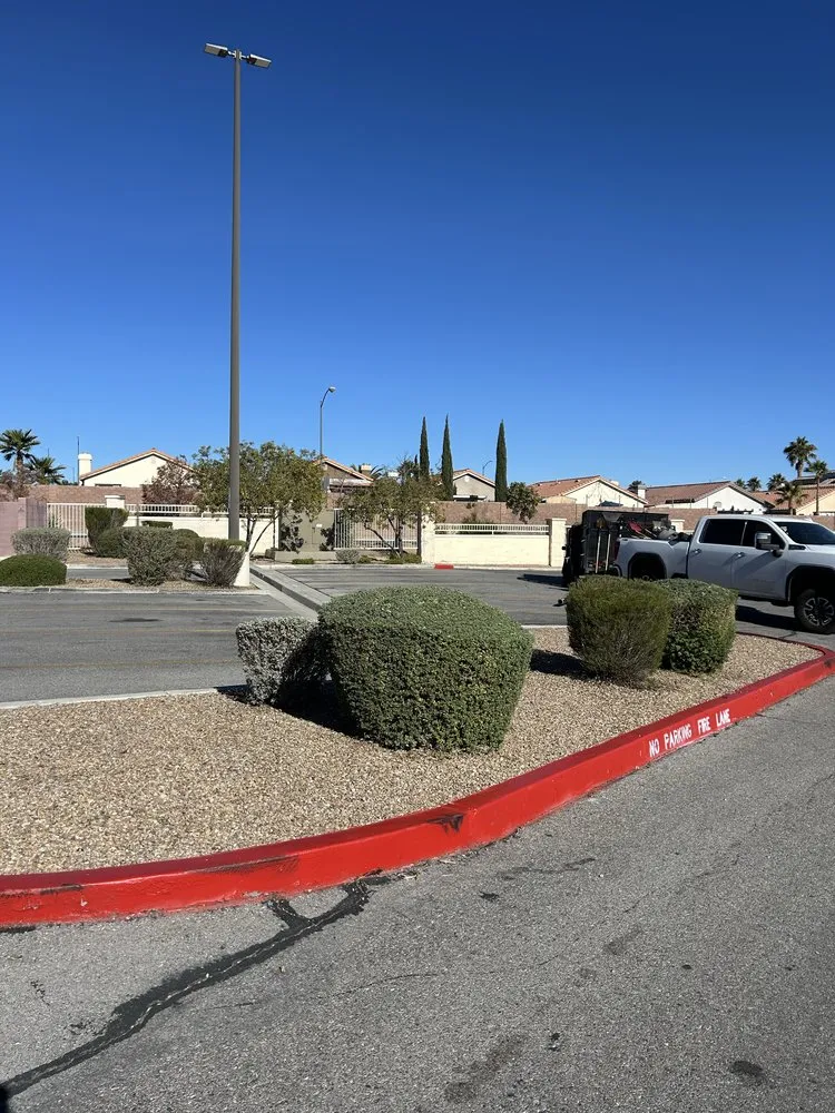 Custom residential landscaping with custom design across North Las Vegas, NV - Desert Palms Landscaping