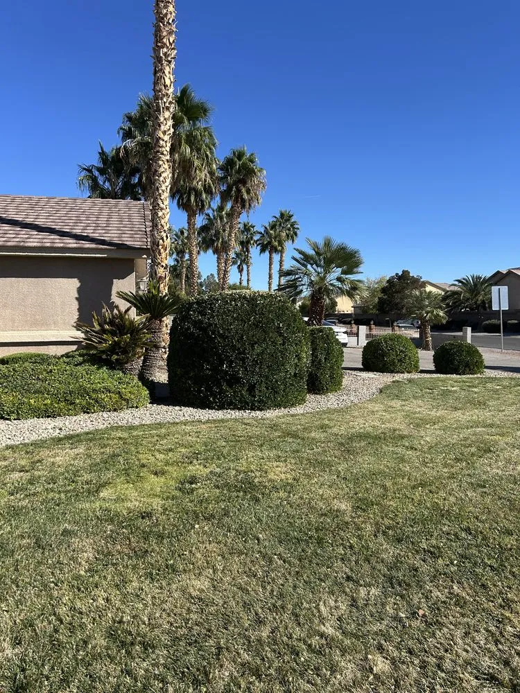 Professional landscape installation experts serving North Las Vegas, NV - Desert Palms Landscaping