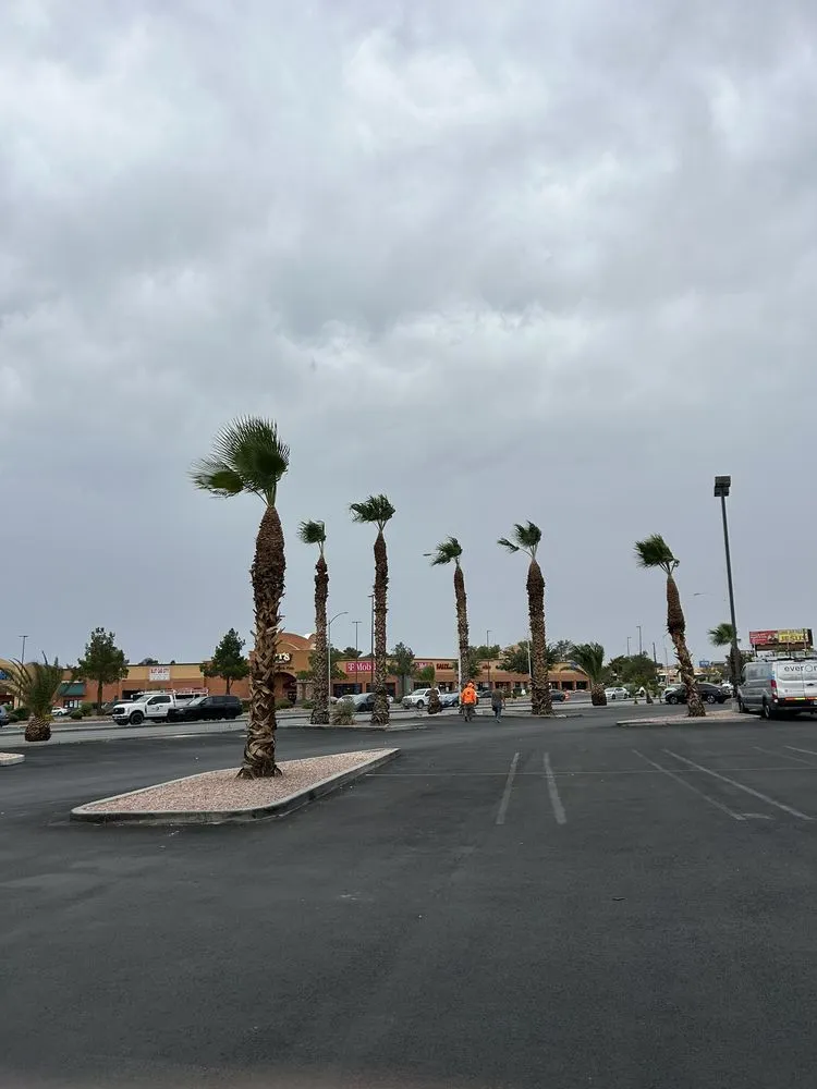 Custom garden landscaping in North Las Vegas, NV - Desert Palms Landscaping