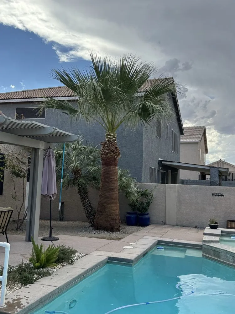 Top-rated landscaping services for homes across North Las Vegas, NV - Desert Palms Landscaping