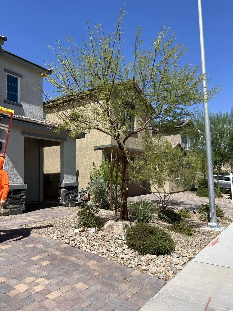Local garden landscaping for homes in North Las Vegas, NV by Desert Palms Landscaping