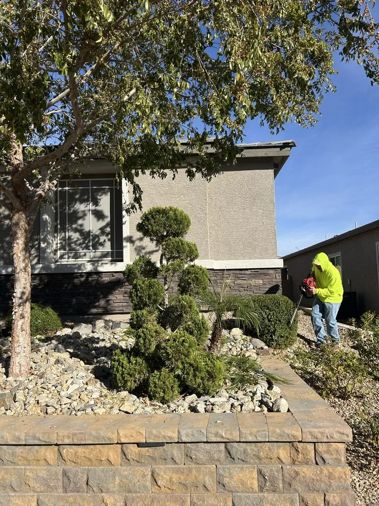 Affordable residential landscaping for residential properties across North Las Vegas, NV - Desert Palms Landscaping