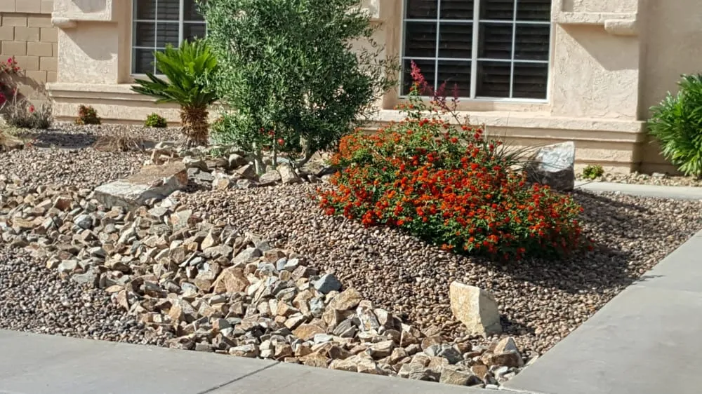 Reliable landscaping services experts serving Indio, CA - Desert Paradise All Outdoor Contractor Services