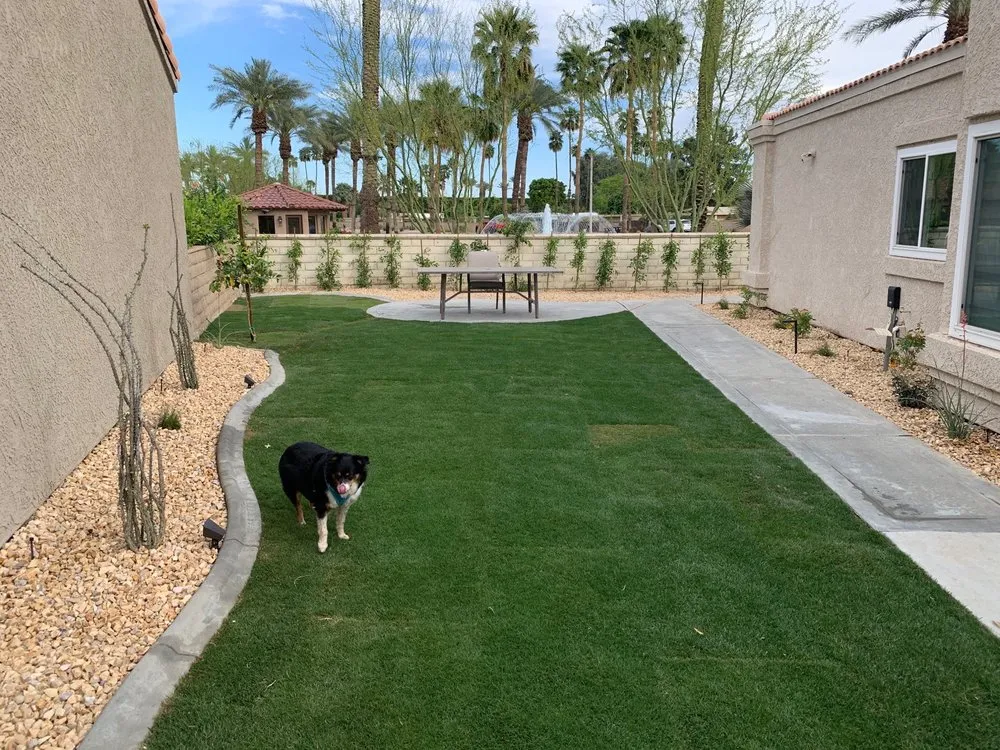 Local landscaping services in Indio, CA by Desert Paradise All Outdoor Contractor Services
