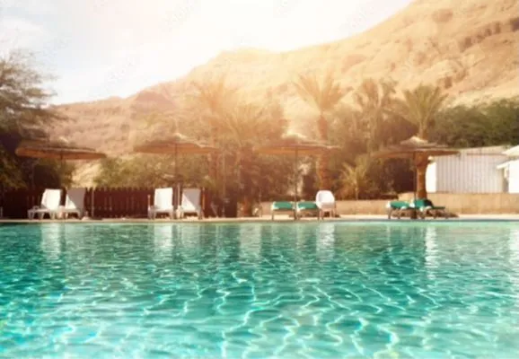 Desert Paradise Pools & Spas Logo