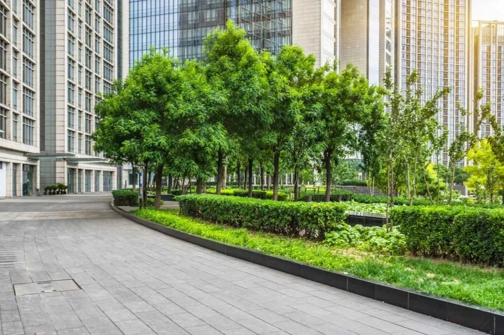 Affordable landscaping services in Prescott Valley, AZ by Desert Pines Landscaping