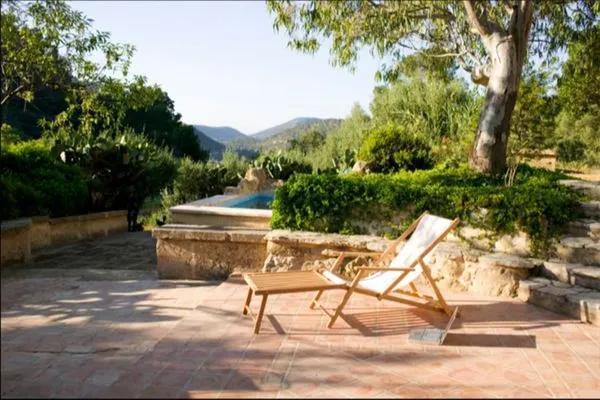 Desert Pines Landscaping Logo