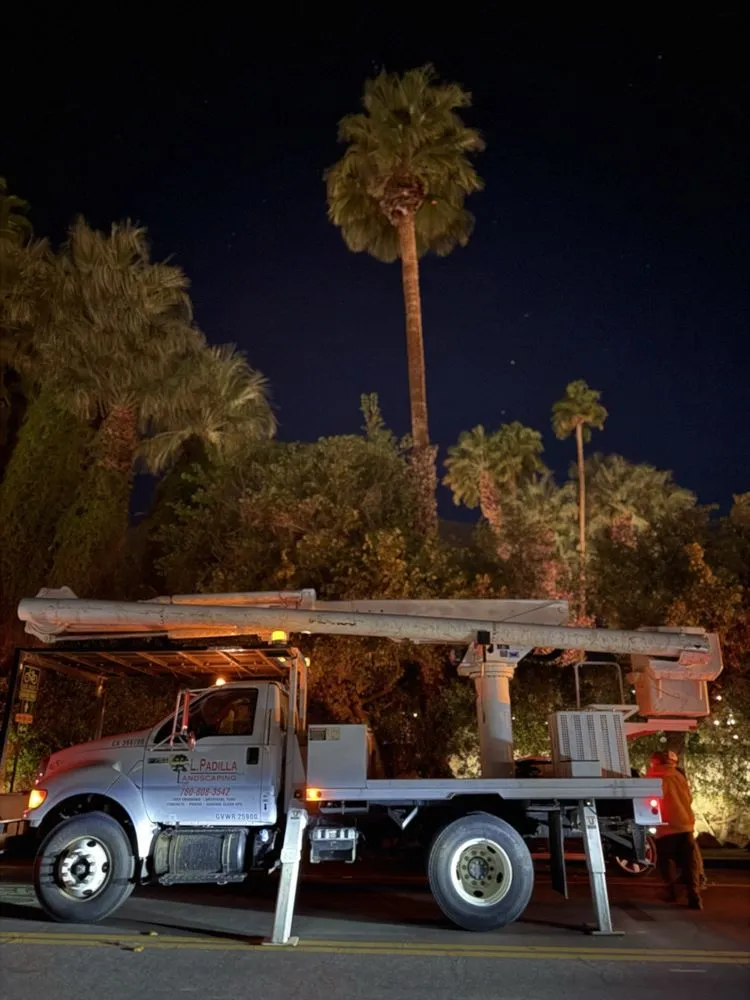 Professional lawn mowing service experts serving Cathedral City, CA - Desert Precision Landscaping