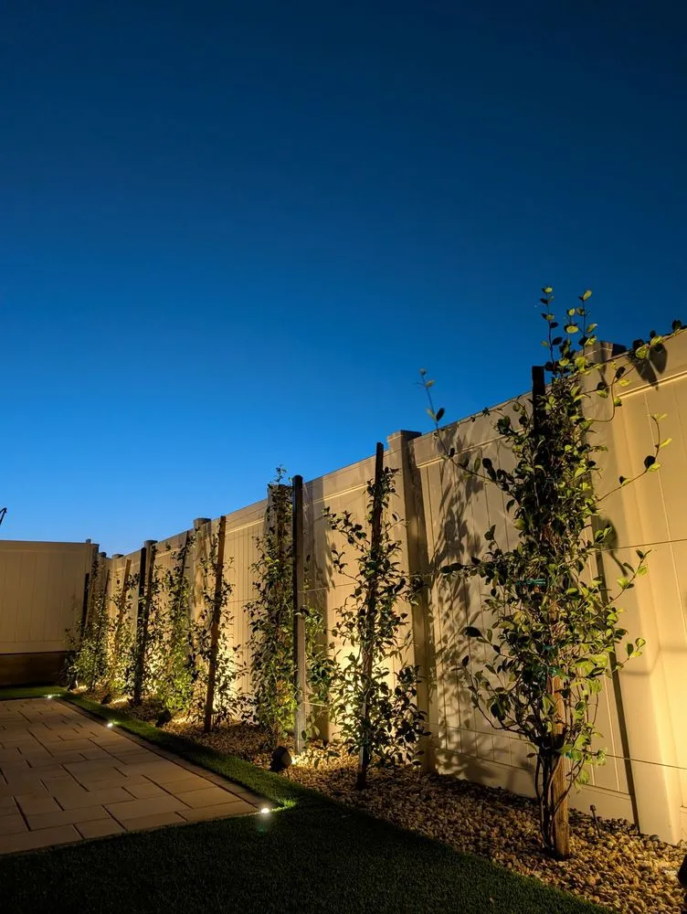 Affordable residential landscaping experts serving Palm Springs, CA - Desert Pros Landscape