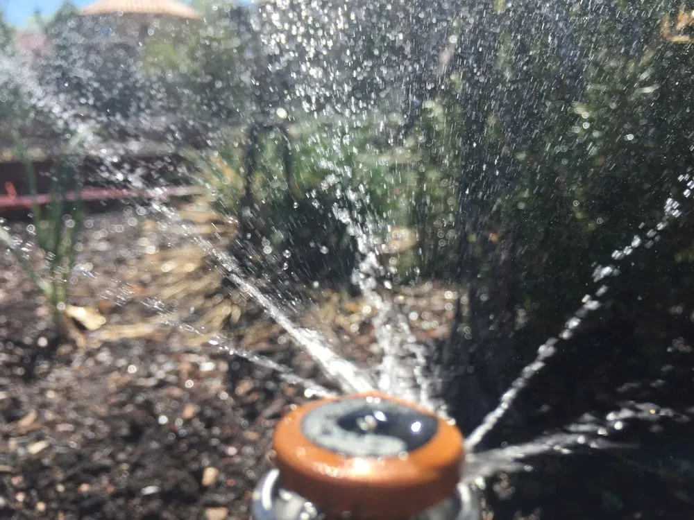 Trusted landscaping services for year-round maintenance across Albuquerque, NM - Desert Rain Landscapes & Sprinkler Repair