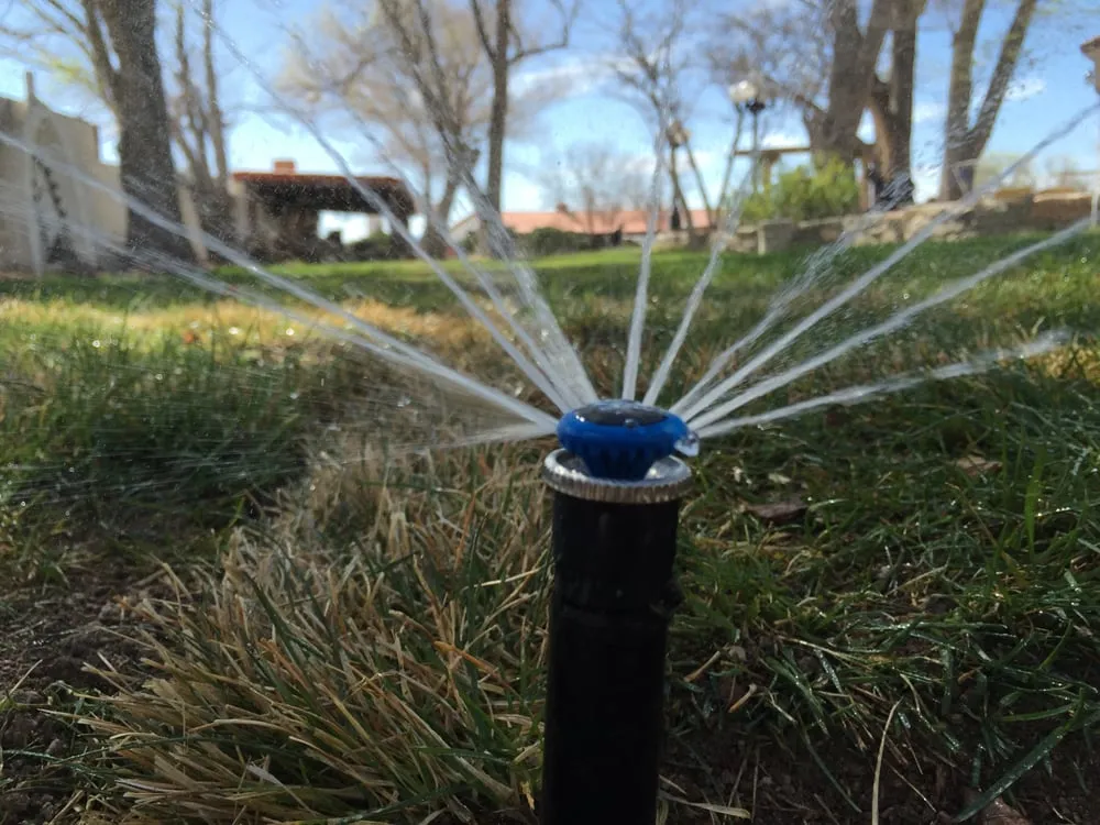Local garden landscaping in Albuquerque, NM by Desert Rain Landscapes & Sprinkler Repair
