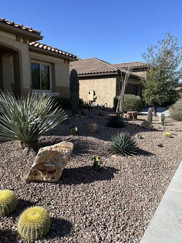 Professional garden landscaping in Tucson, AZ by Desert Rain Landscaping & Services