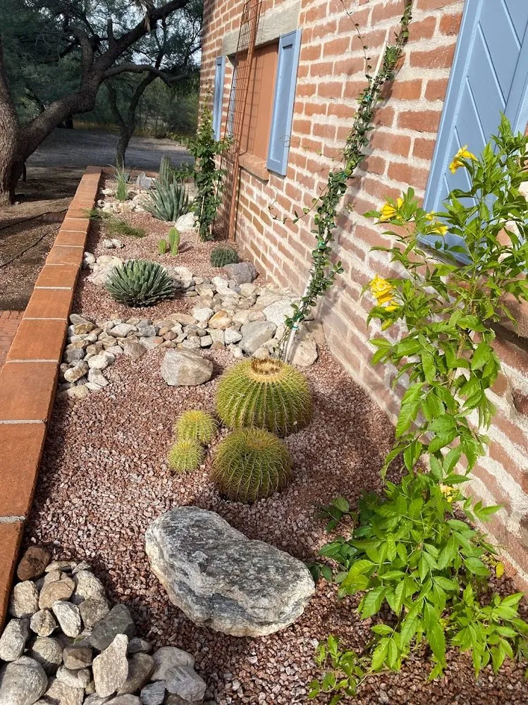 Expert landscape installation experts serving Tucson, AZ - Desert Rain Landscaping & Services