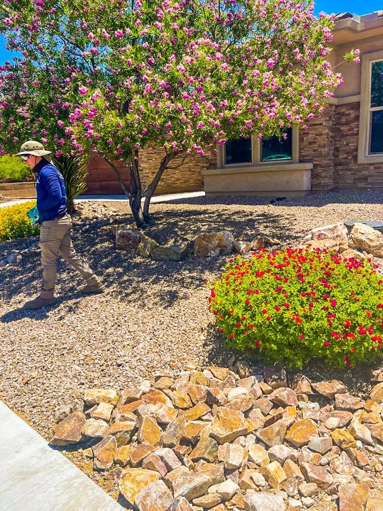 Trusted outdoor landscaping in Tucson, AZ - Desert Rain Landscaping & Services