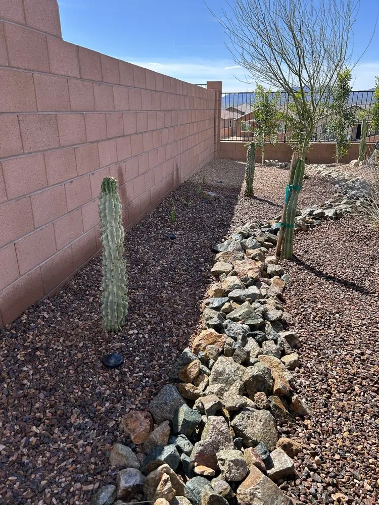 Trusted landscaping services in Tucson, AZ - Desert Rain Landscaping & Services