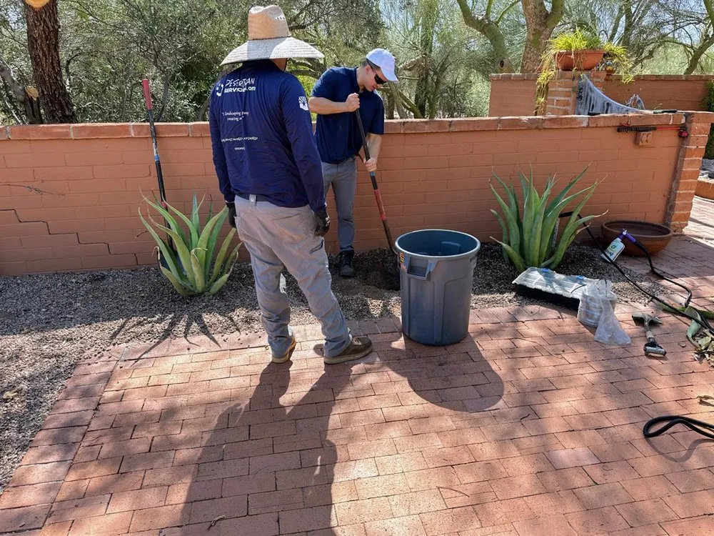 Reliable garden landscaping in Tucson, AZ by Desert Rain Landscaping & Services