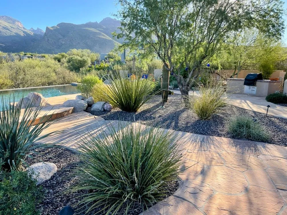 Expert landscaping services for beautiful yards in Tucson, AZ by Desert Rain Landscaping & Services