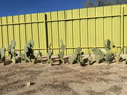 Desert Rain Landscaping