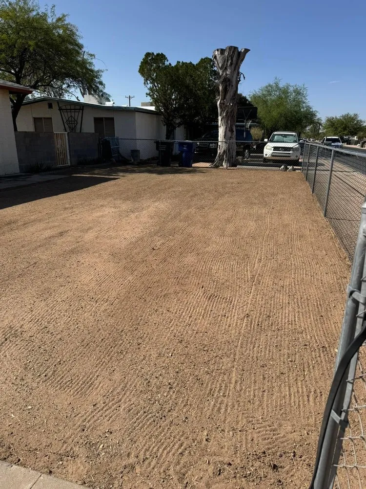 Top-rated lawn mowing service experts serving Tucson, AZ - Desert Rat Landscapers