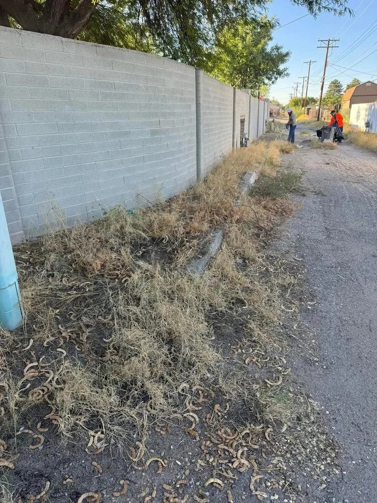 Affordable landscape installation experts serving Tucson, AZ - Desert Rat Landscapers