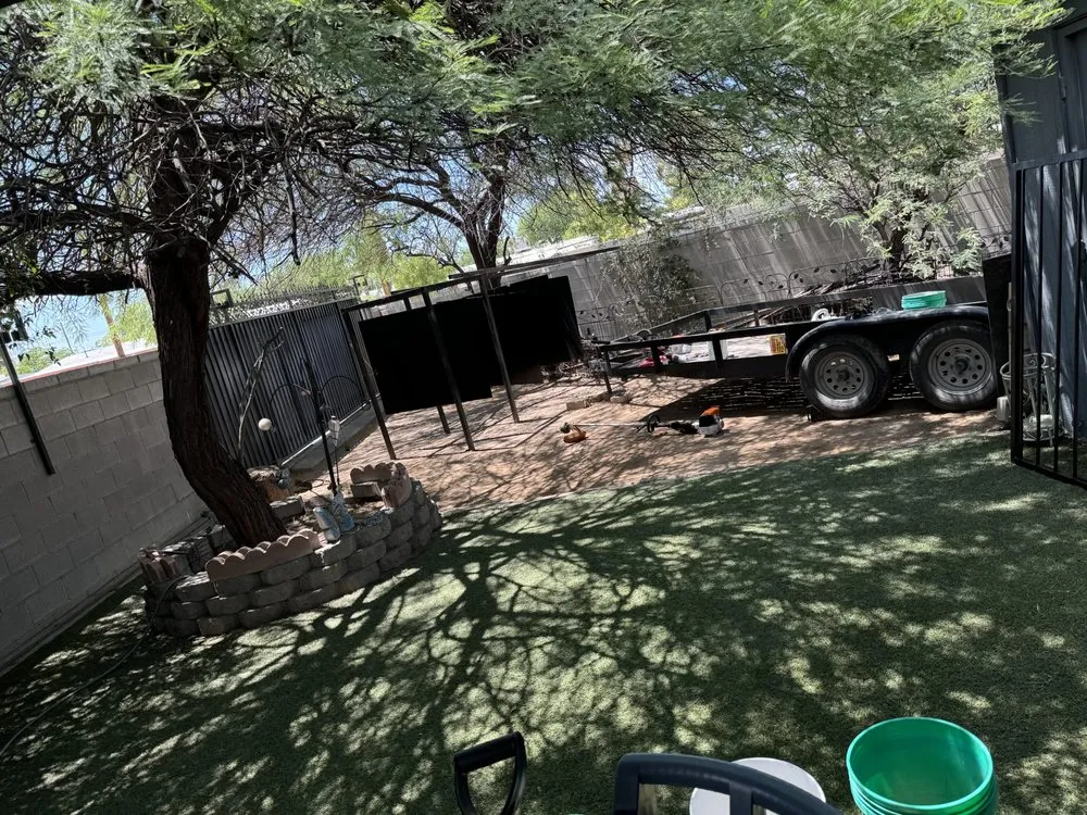 Trusted residential landscaping for year-round maintenance in Tucson, AZ by Desert Rat Landscapers