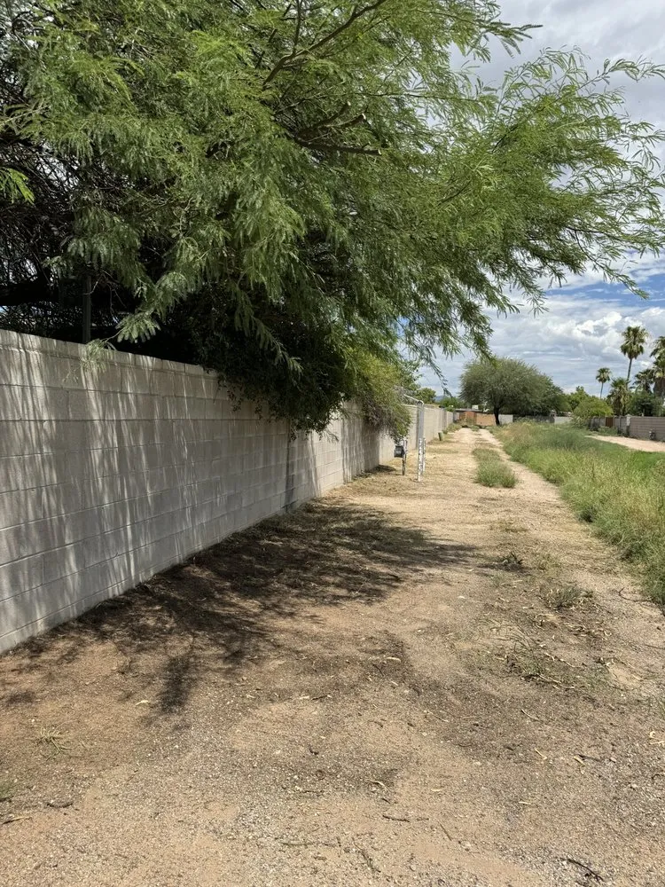 Custom yard maintenance for year-round maintenance in Tucson, AZ by Desert Rat Landscapers