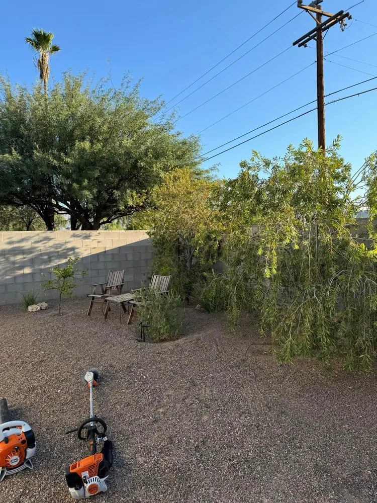 Custom outdoor landscaping with custom design across Tucson, AZ - Desert Rat Landscapers