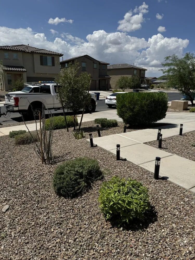 Professional residential landscaping experts serving Tucson, AZ - Desert Rat Landscapers