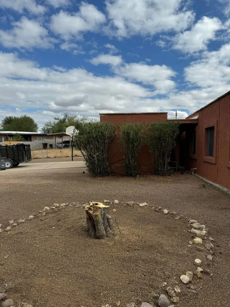 Expert yard maintenance in Tucson, AZ by Desert Rat Landscapers