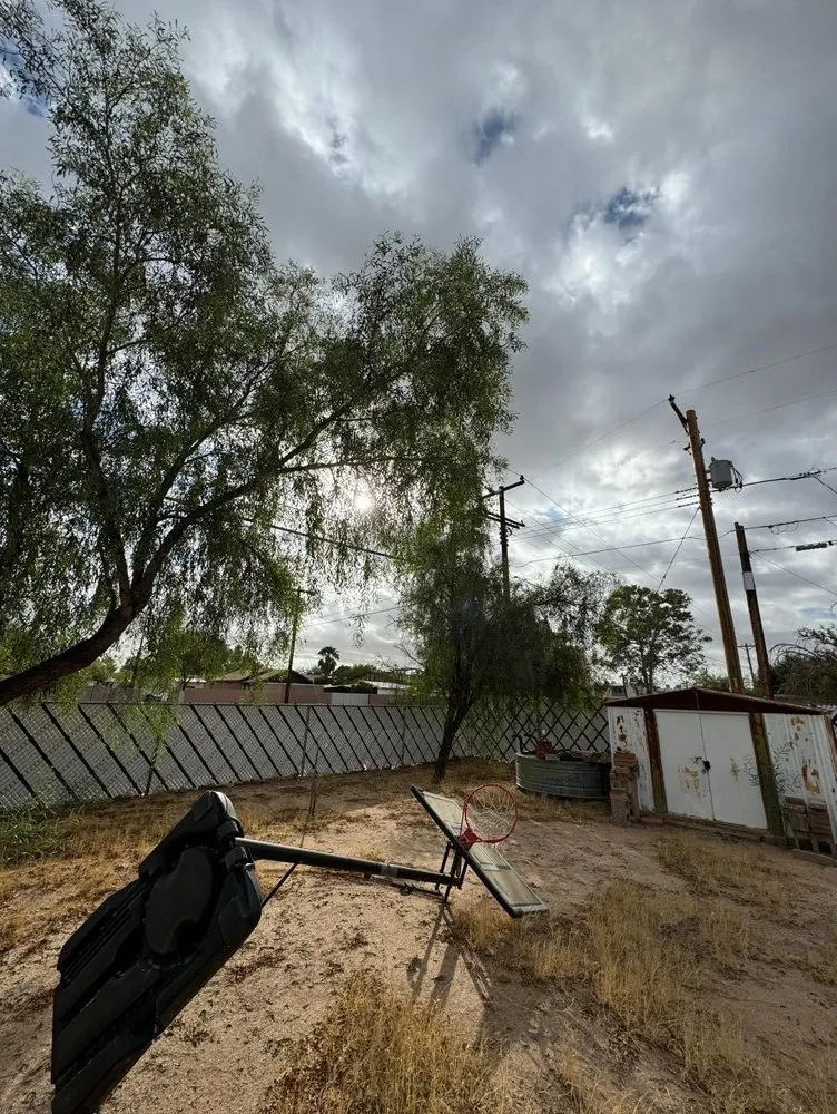 Affordable garden landscaping for homes across Tucson, AZ - Desert Rat Landscapers