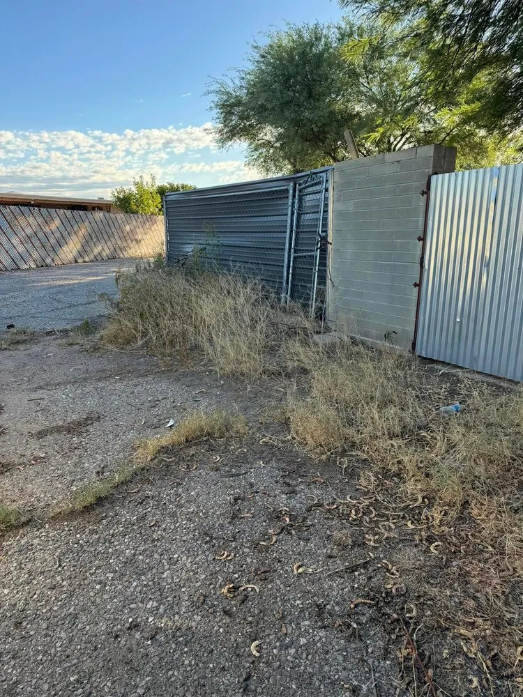 Affordable garden landscaping for beautiful yards across Tucson, AZ - Desert Rat Landscapers