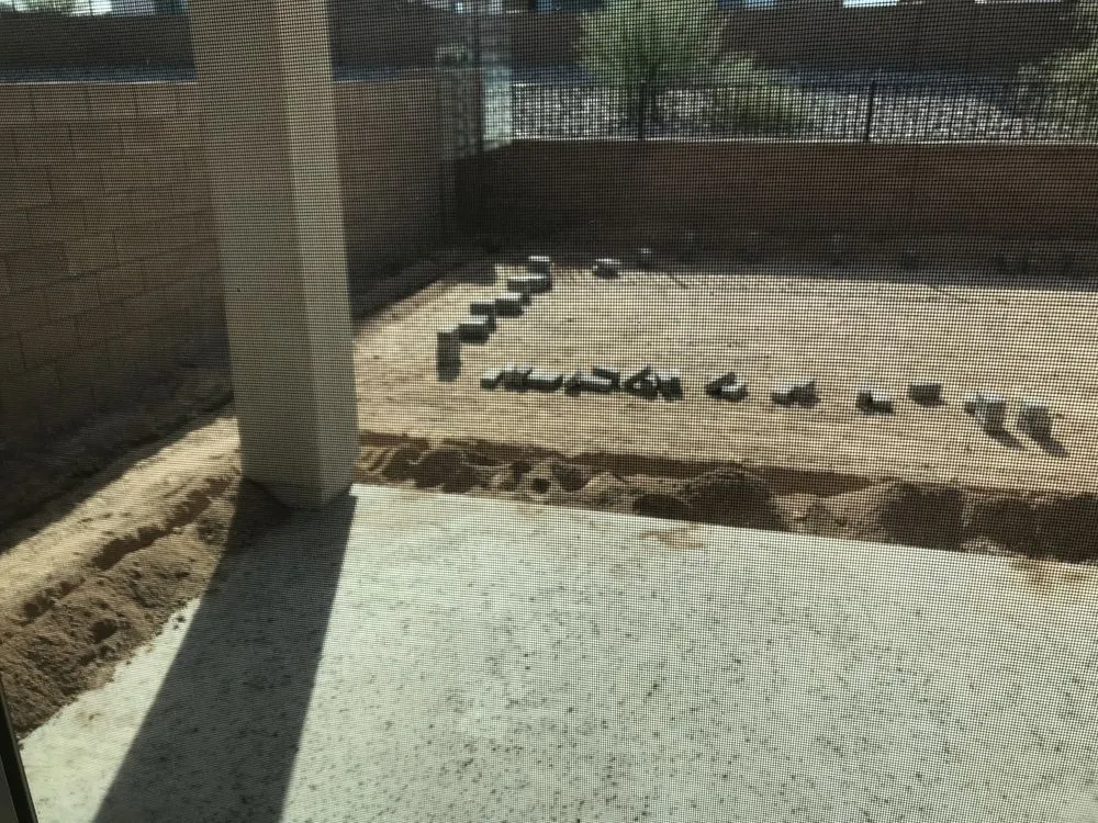 Affordable yard cleanup service for homes across Phoenix, AZ - Desert Restoration