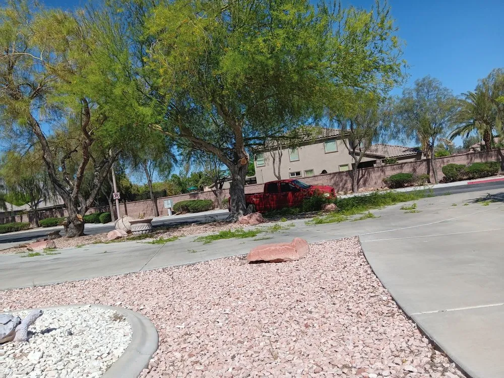 Expert lawn mowing service for outdoor upgrades in Las Vegas, NV by Desert Rock Landscape Maintenance