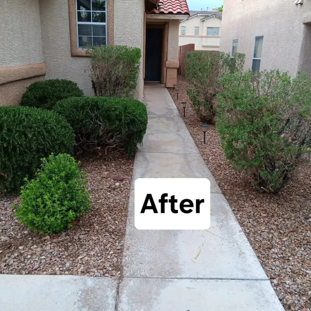 Expert yard cleanup service for outdoor upgrades across Las Vegas, NV - Desert Rock Landscape Maintenance