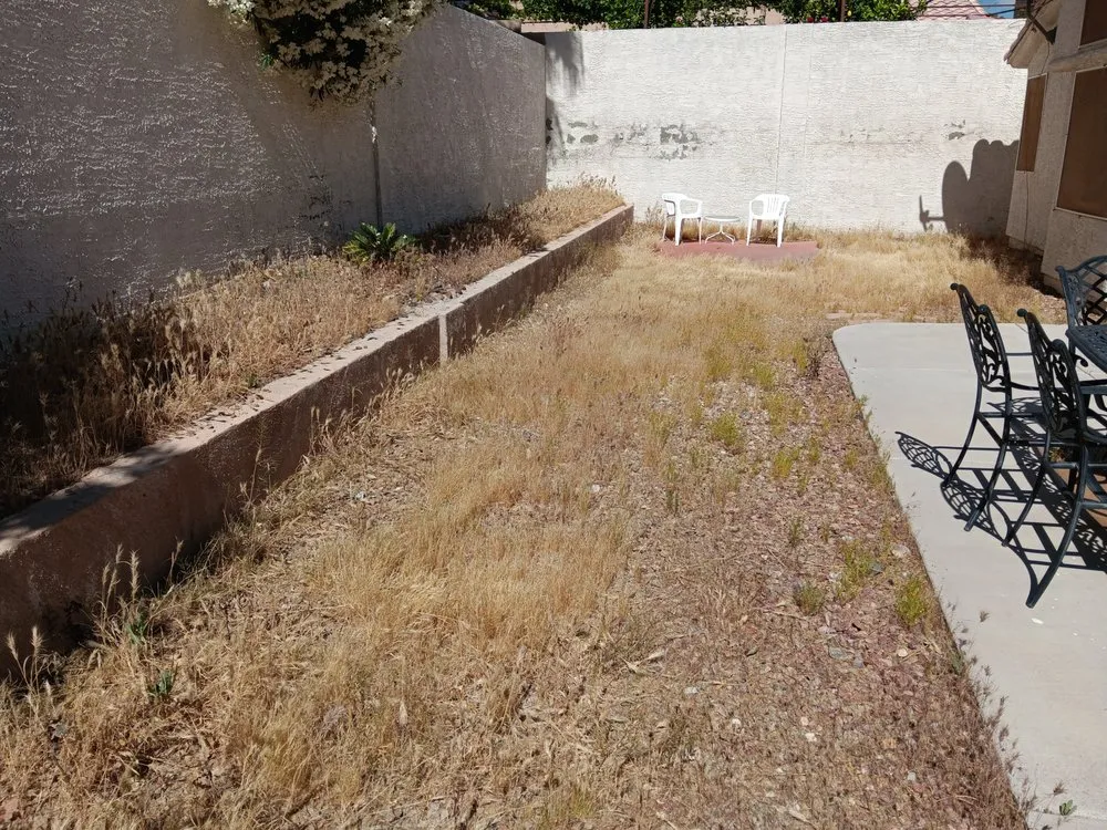 Top-rated garden landscaping experts serving Las Vegas, NV - Desert Rock Landscape Maintenance