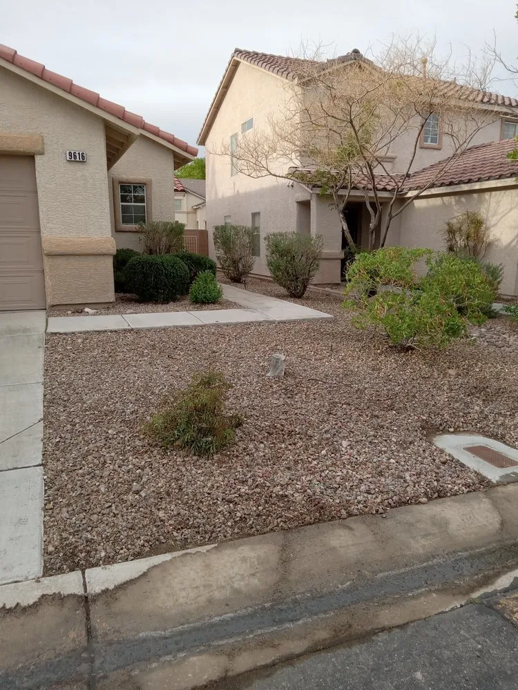 Trusted landscape design in Las Vegas, NV - Desert Rock Landscape Maintenance