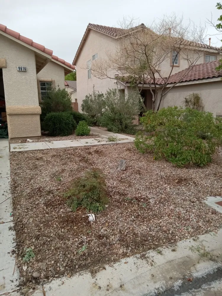 Top-rated lawn mowing service for year-round maintenance across Las Vegas, NV - Desert Rock Landscape Maintenance