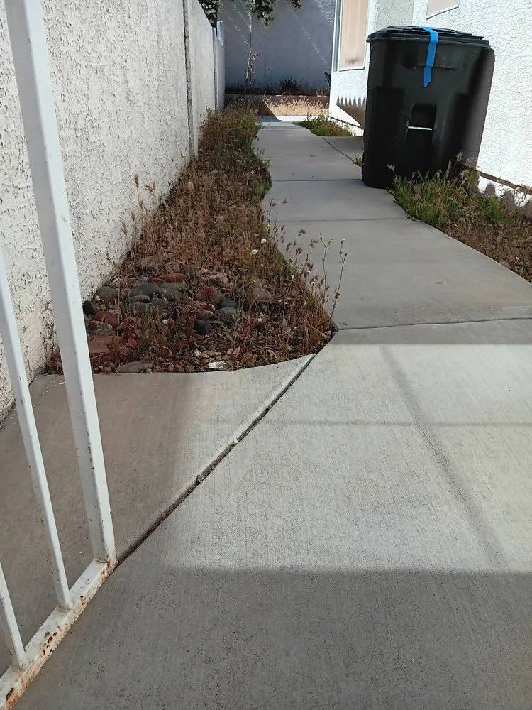 Professional landscape installation in Las Vegas, NV - Desert Rock Landscape Maintenance