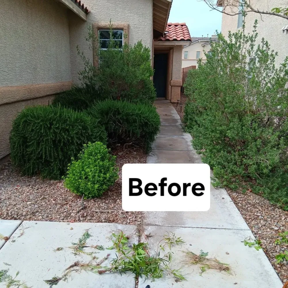 Reliable lawn mowing service for residential properties across Las Vegas, NV - Desert Rock Landscape Maintenance
